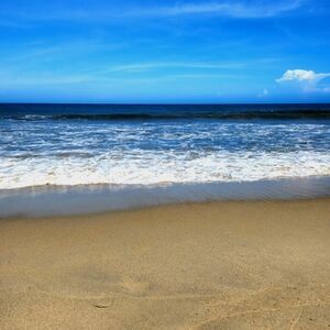 Meet your Posher, Dominique